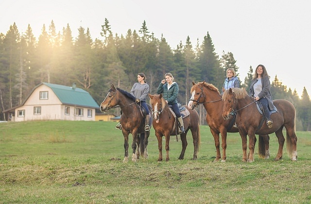 Конные прогулки в Лахденпохья